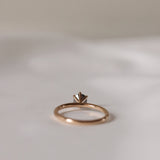 Finished: The Solitaire Ring with 0.70 CT Salt and Pepper Diamond