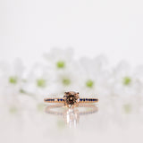 Finished: Low Classic Solitaire Sparkle Ring with Champagne Morganite and Royal Blue Sapphires